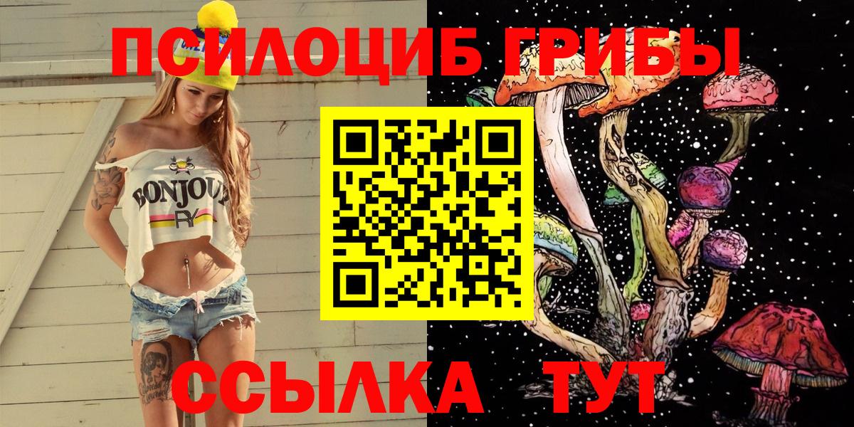 Галлюциногенные грибы мицелий  где можно купить   Вход с VPN  Петровск  Галлюциногенные грибы Psilocybe 