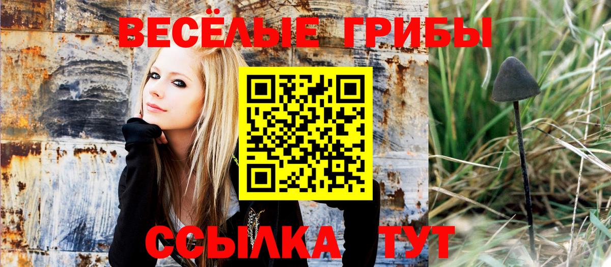 Галлюциногенные грибы мухоморы Петровск